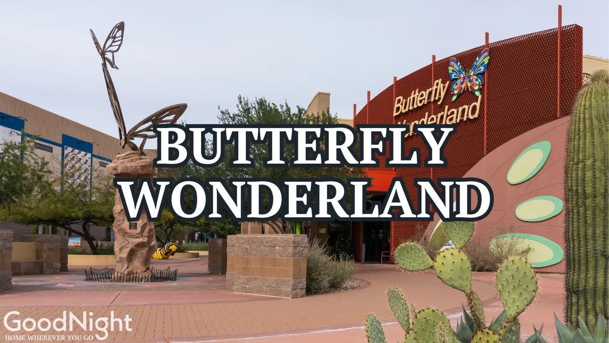An exterior view of Butterfly Wonderland, featuring a large butterfly sculpture, the Butterfly Wonderland sign, cacti, and well-maintained landscaping. The scene is bright, colorful, and inviting, evoking curiosity and excitement for families.